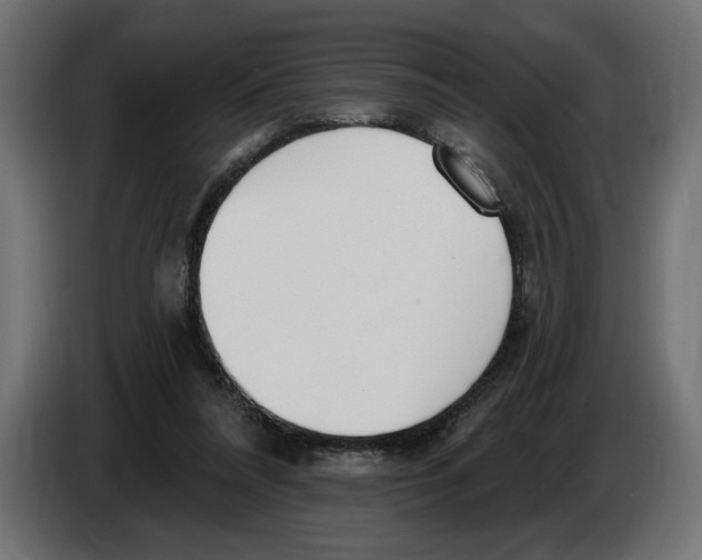 X0000083070304200703022203