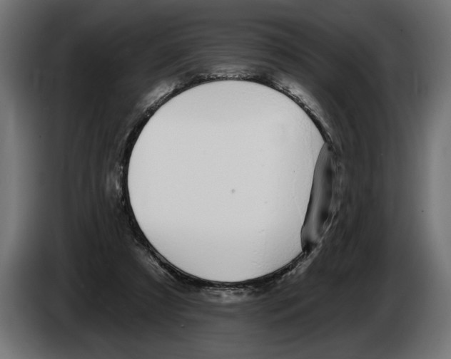 X0000083070305200703022203