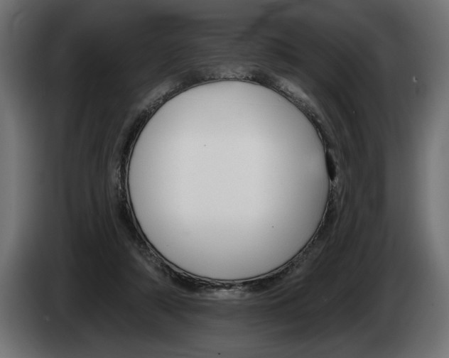 X0000083070306200703022203