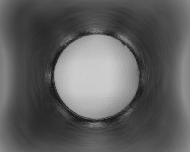 X0000083070309200703022203