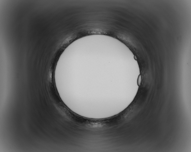 X0000083070310200703022203