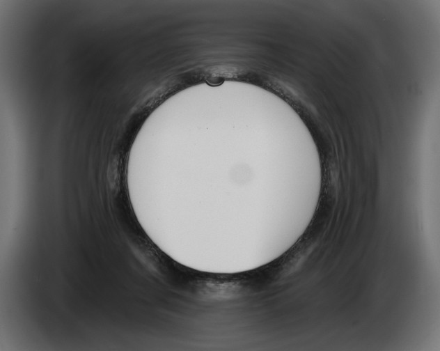 X0000083070311200703022203