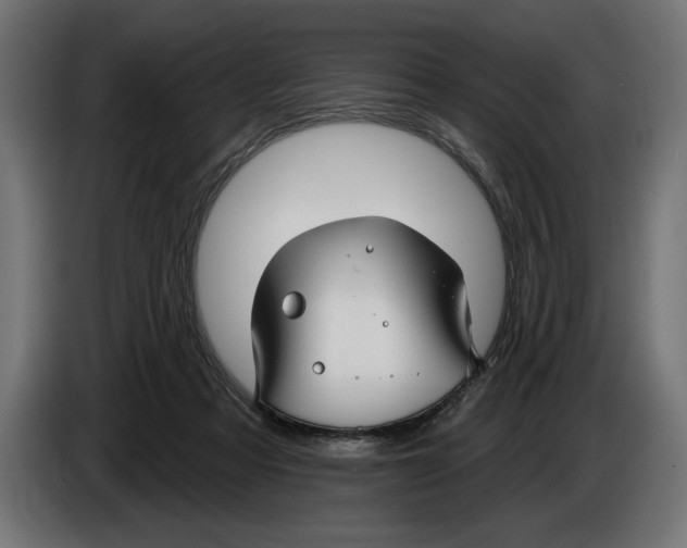 X0000083070313200703022203