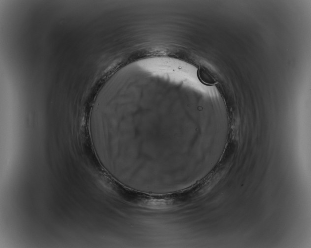 X0000083070314200703022203