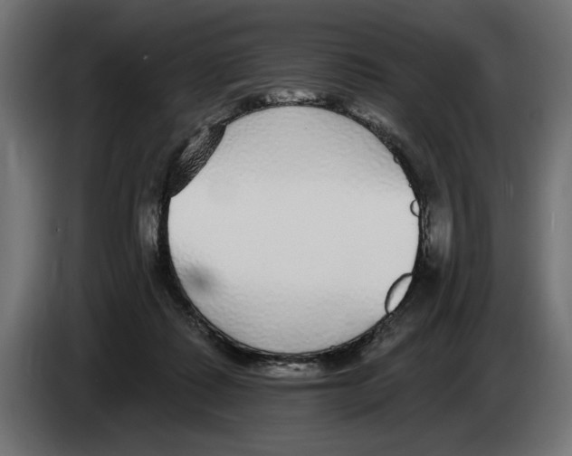 X0000083070315200703022203