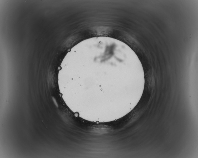 X0000083070316200703022203