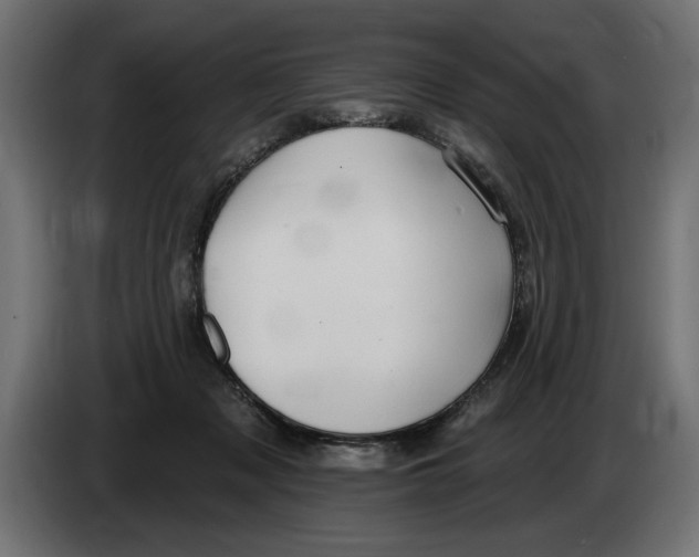 X0000083070317200703022203