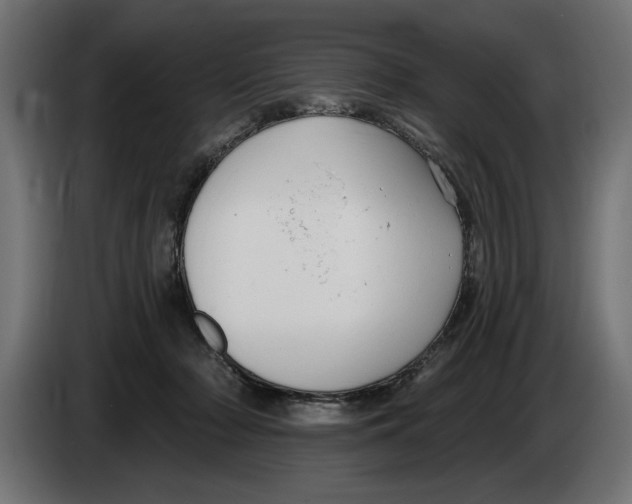 X0000083070318200703022203