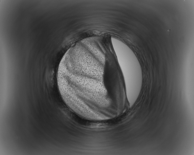 X0000083070319200703022203