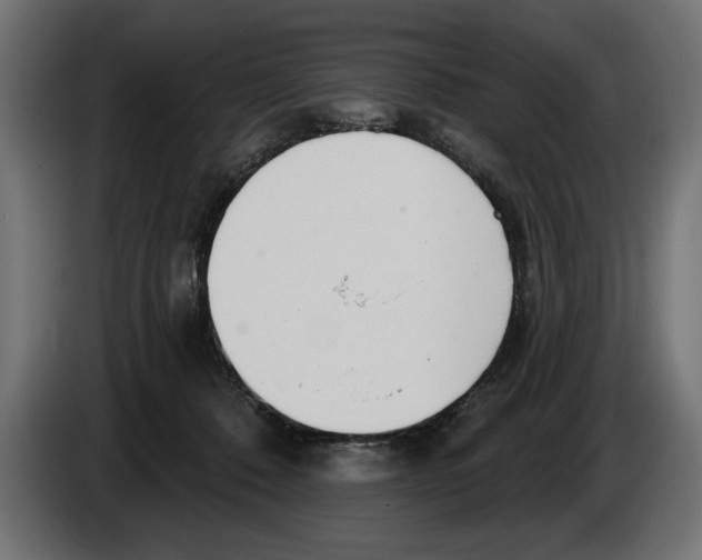 X0000083070320200703022203