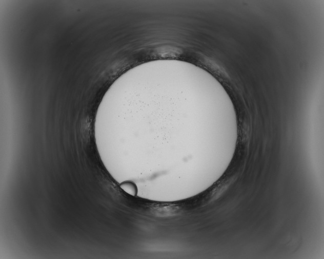 X0000083070321200703022203