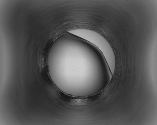 X0000083070323200703022203