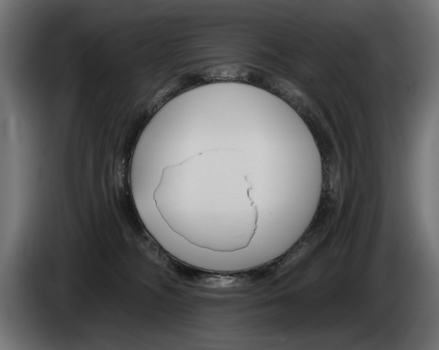 X0000083070326200703022203