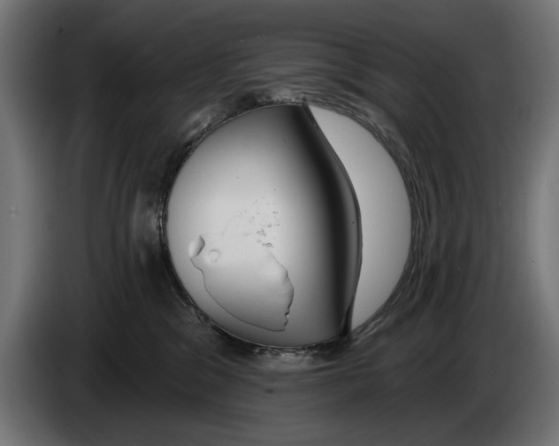 X0000083070329200703022203