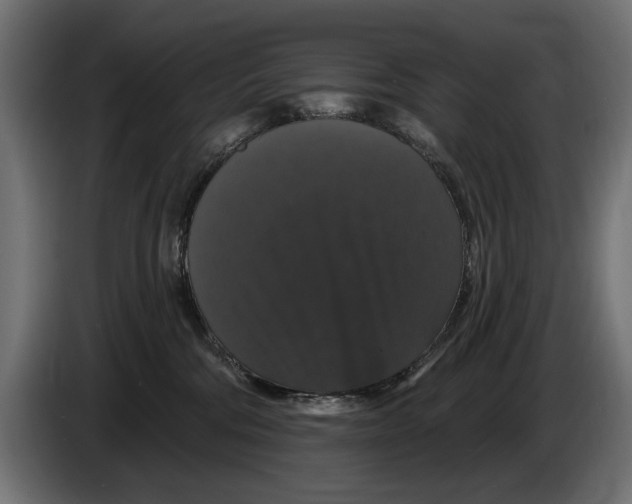 X0000083070330200703022203