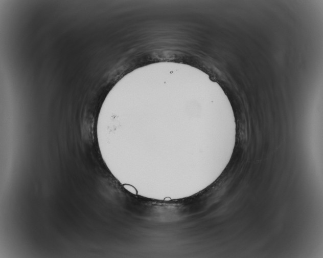 X0000083070332200703022203