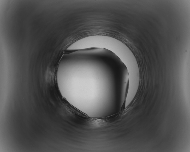 X0000083070333200703022203