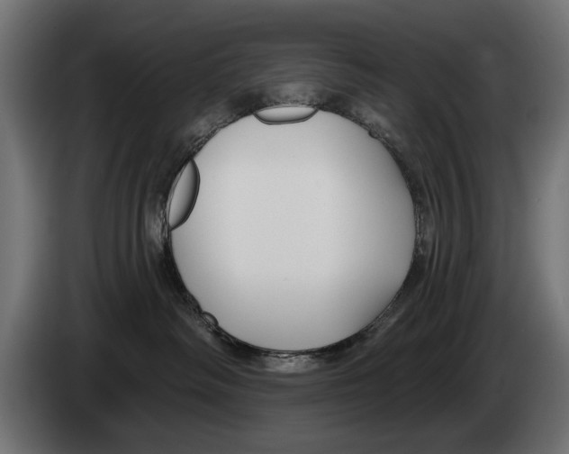 X0000083070334200703022203