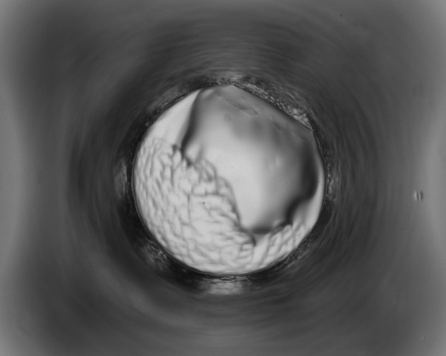 X0000083070335200703022203