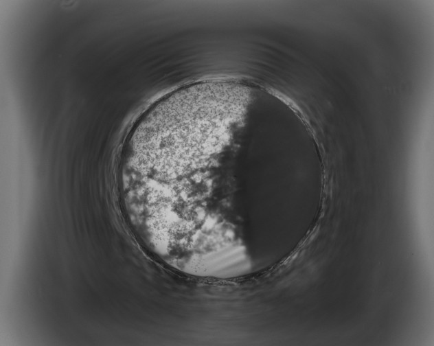 X0000083070337200703022202