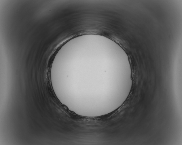 X0000083070338200703022202