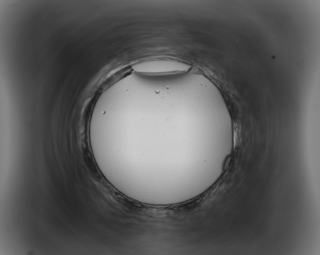 X0000083070339200703022202