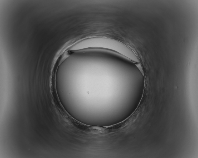 X0000083070340200703022202