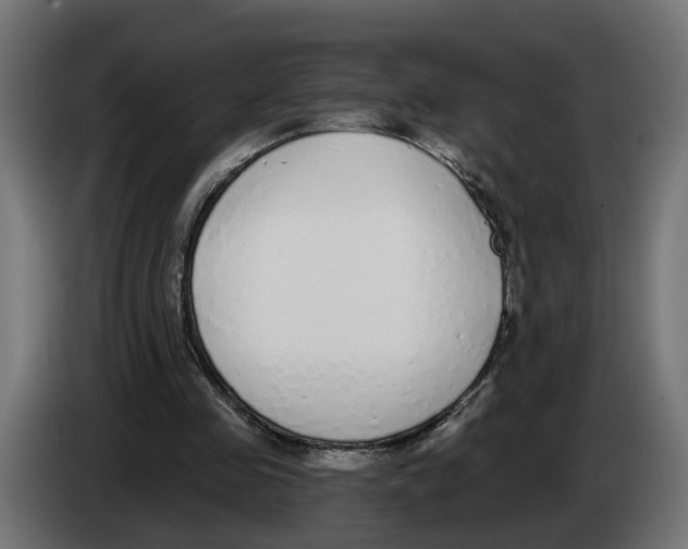 X0000083070341200703022202