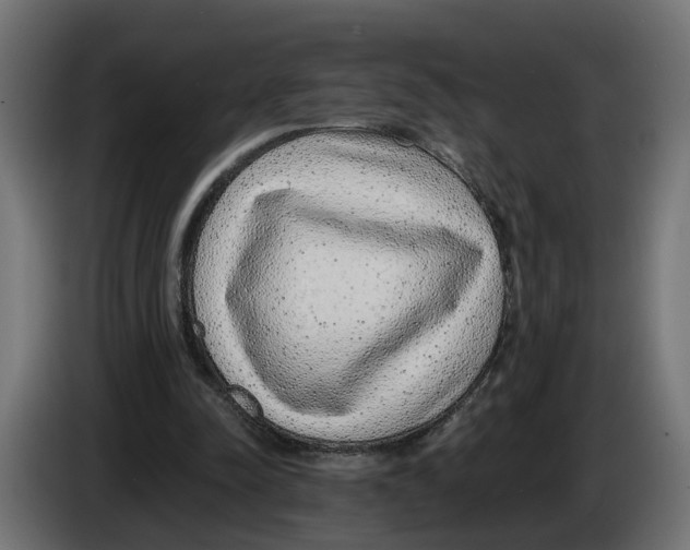 X0000083070342200703022202