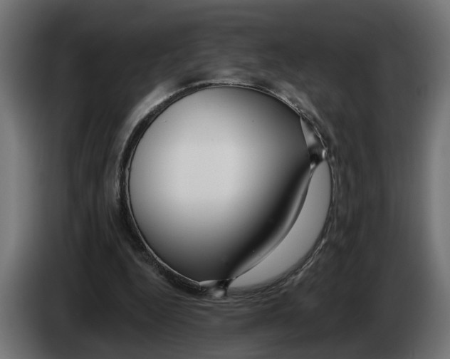 X0000083070344200703022202