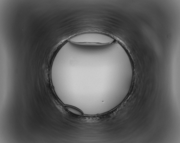 X0000083070345200703022202