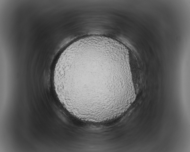 X0000083070346200703022202