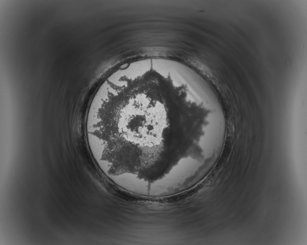 X0000083070347200703022202