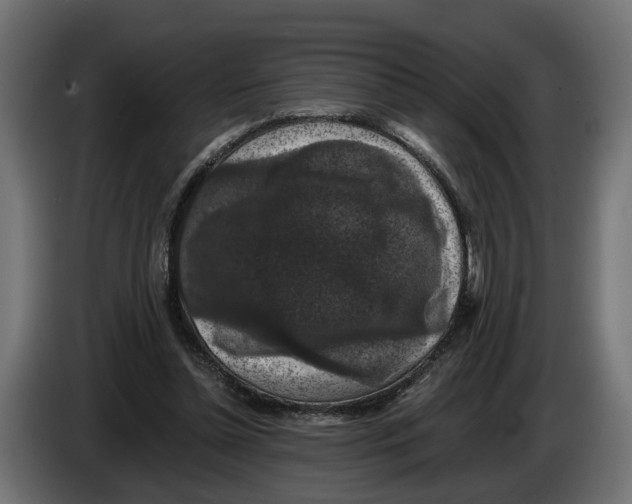 X0000083070348200703022202