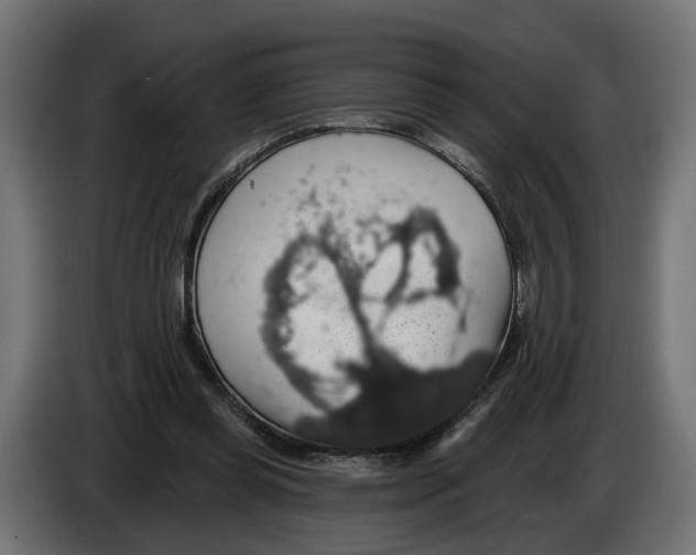 X0000083070349200703022202