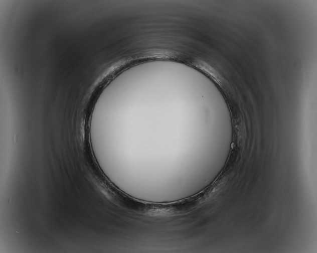 X0000083070350200703022202