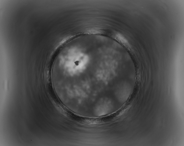 X0000083070351200703022202