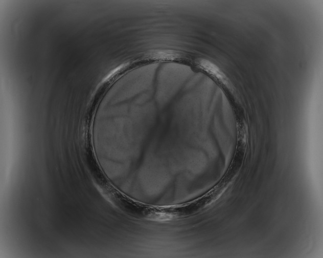 X0000083070352200703022202