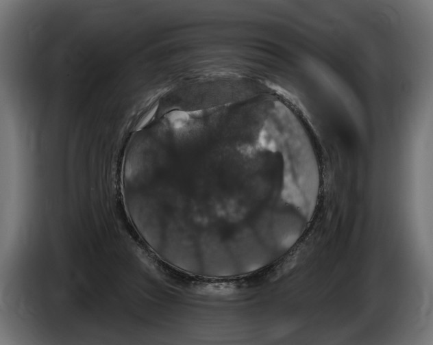 X0000083070353200703022202