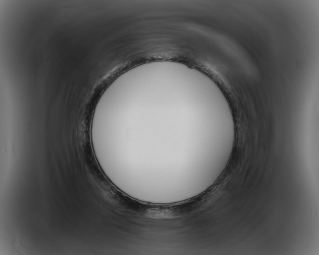 X0000083070354200703022202