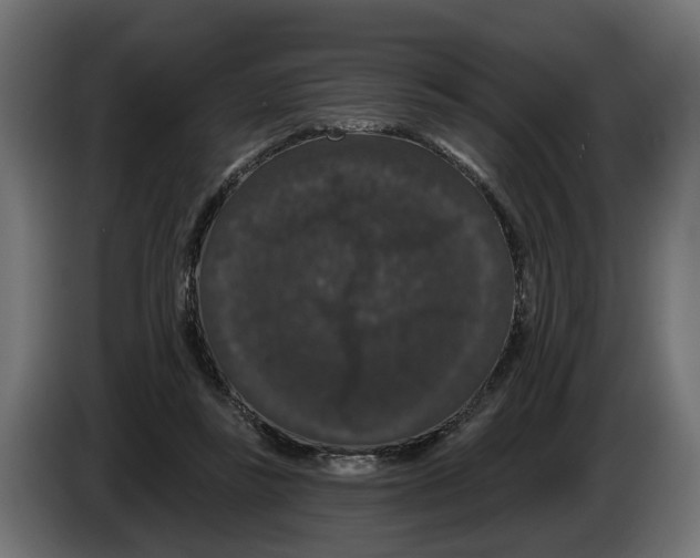 X0000083070355200703022202