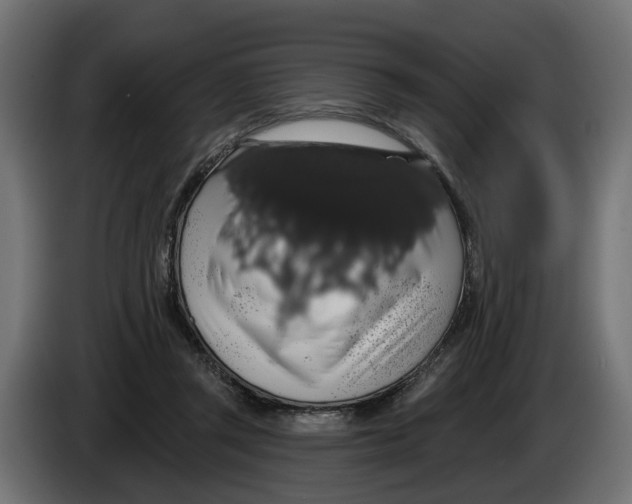 X0000083070357200703022202