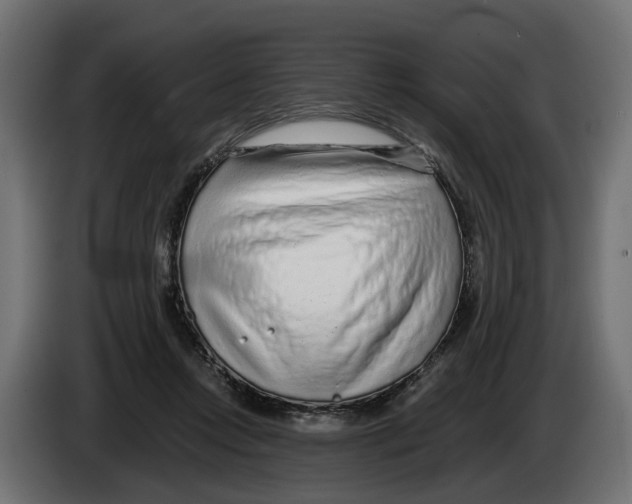 X0000083070358200703022202