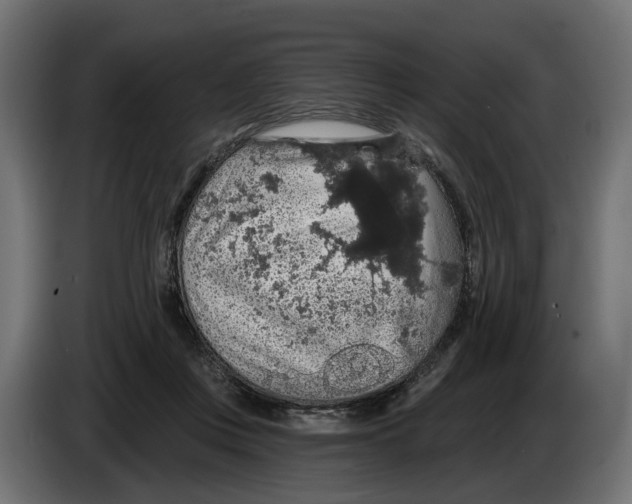 X0000083070359200703022202