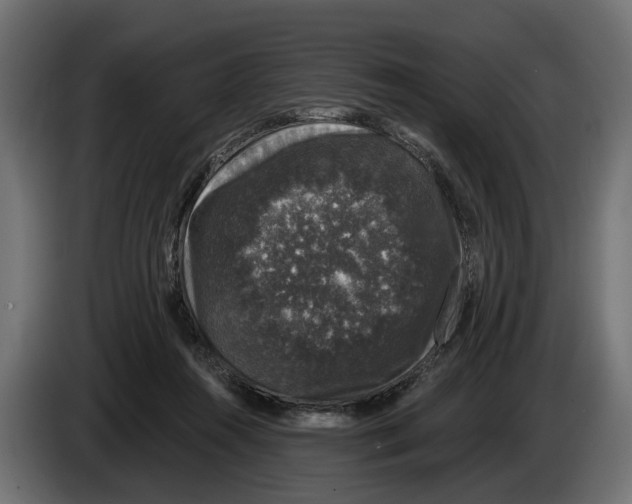 X0000083070360200703022202