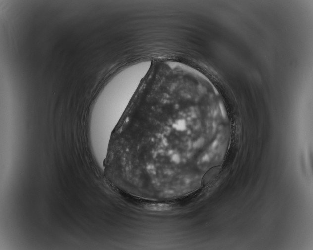 X0000083070361200703022202