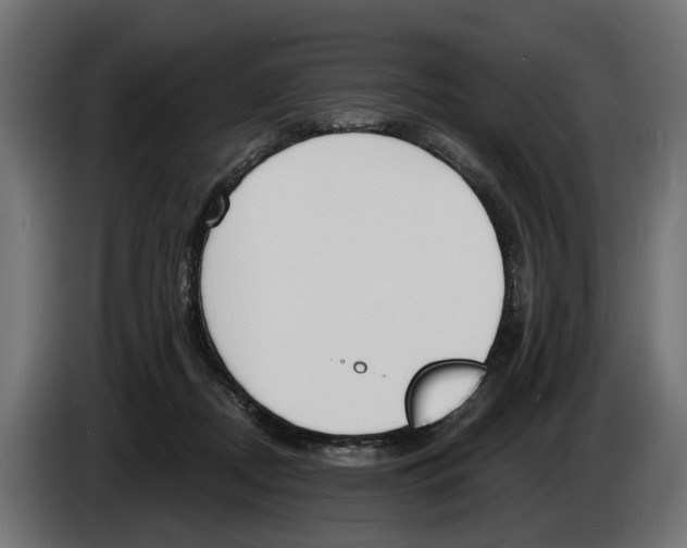 X0000083070362200703022202