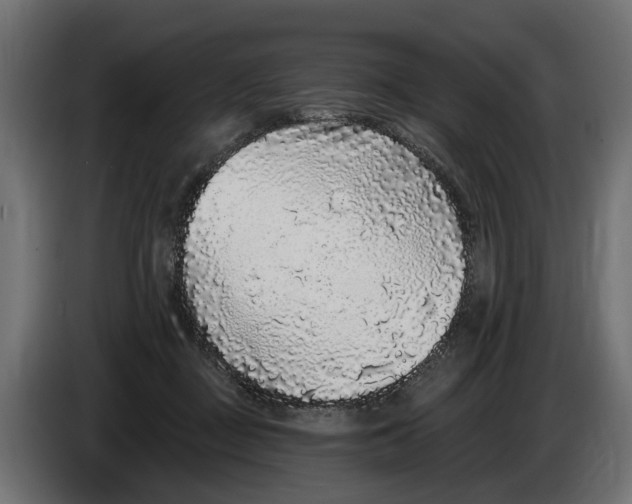 X0000083070363200703022202