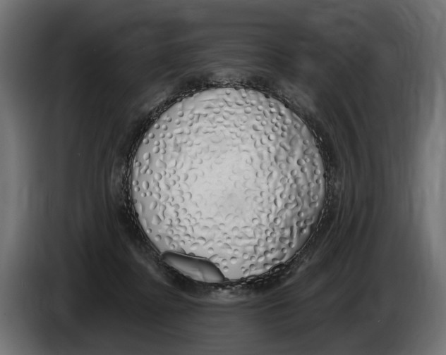 X0000083070364200703022202