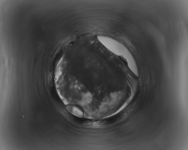 X0000083070365200703022202